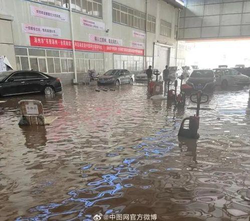 碧桂园水池清洗爆料最新消息,最新爆料揭露惊人真相！